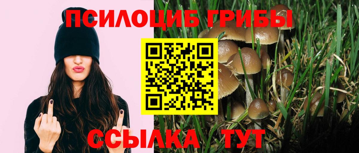 Галлюциногенные грибы прущие грибы  Вход с VPN  Галлюциногенные грибы Cubensis  Кузнецк 