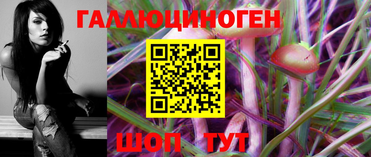 Псилоцибиновые грибы Psilocybe Кузнецк